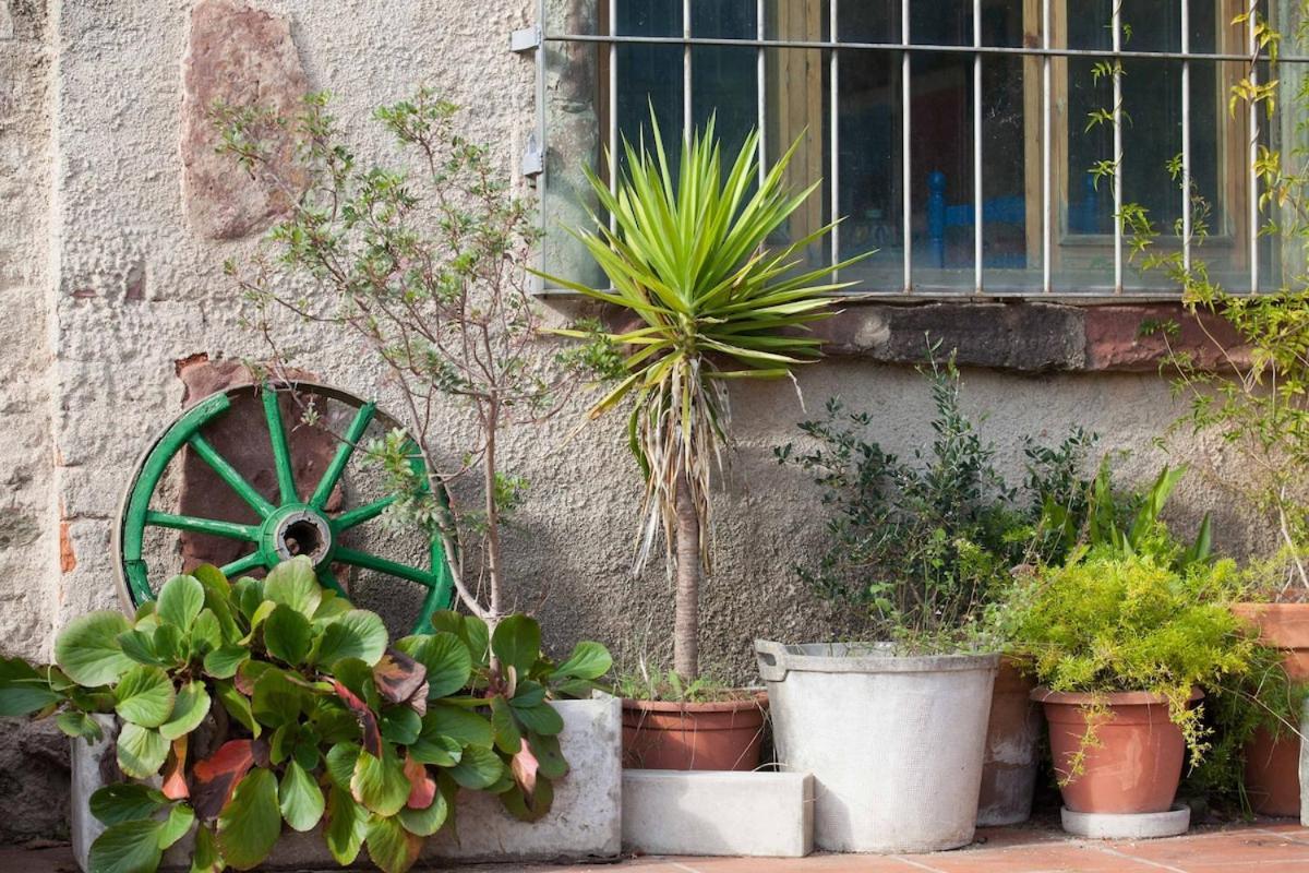 Masia Can Sunyer Agroturismo La Garriga Exterior photo